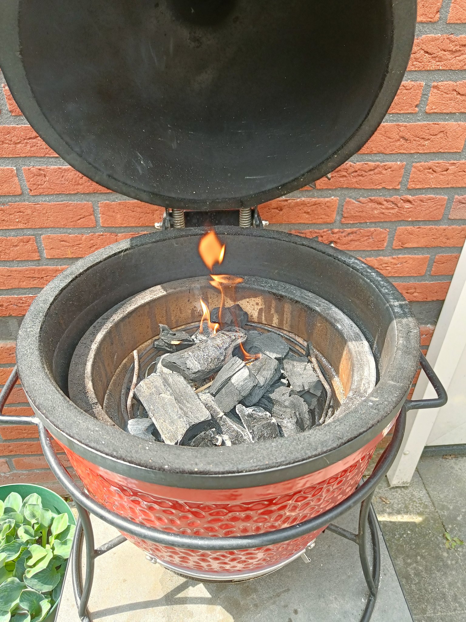 IMG20250530123934.jpg