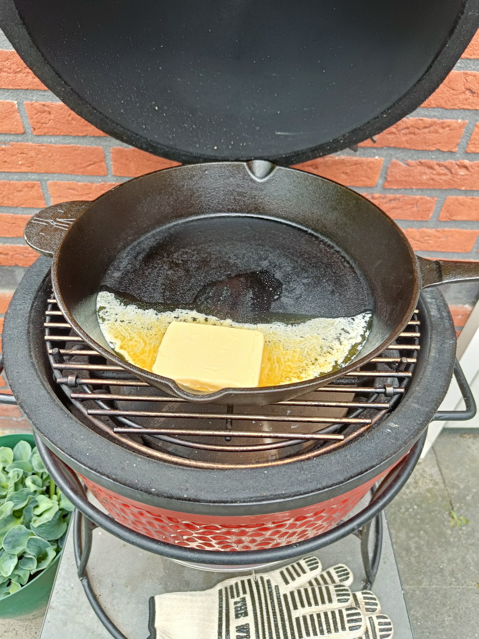 IMG20250530125452.jpg