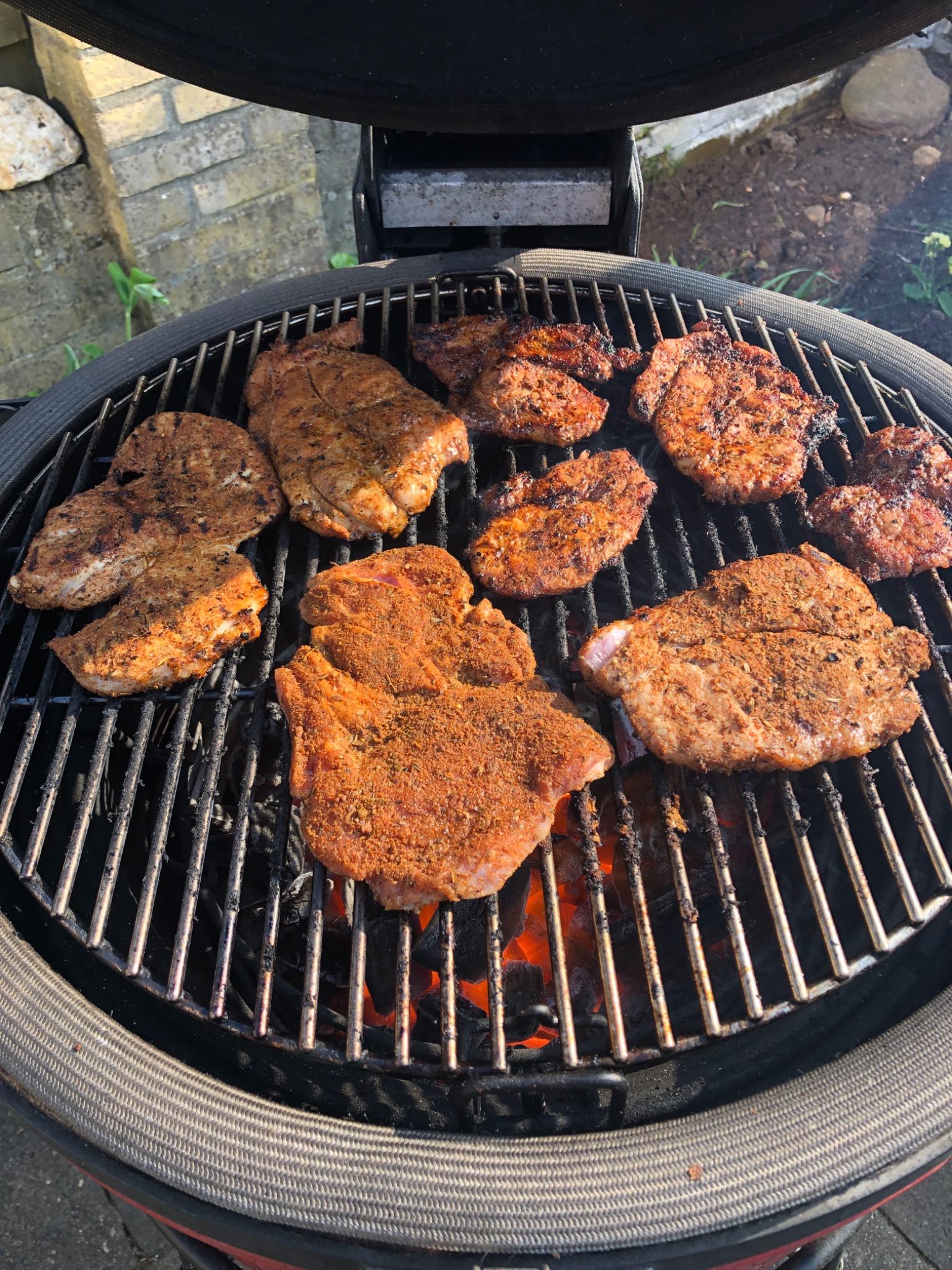 IMG_1559.jpeg