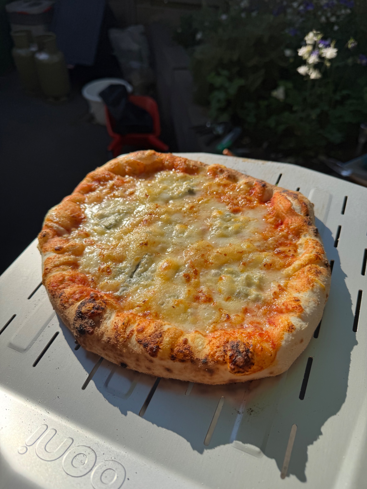 IMG_1797.jpeg