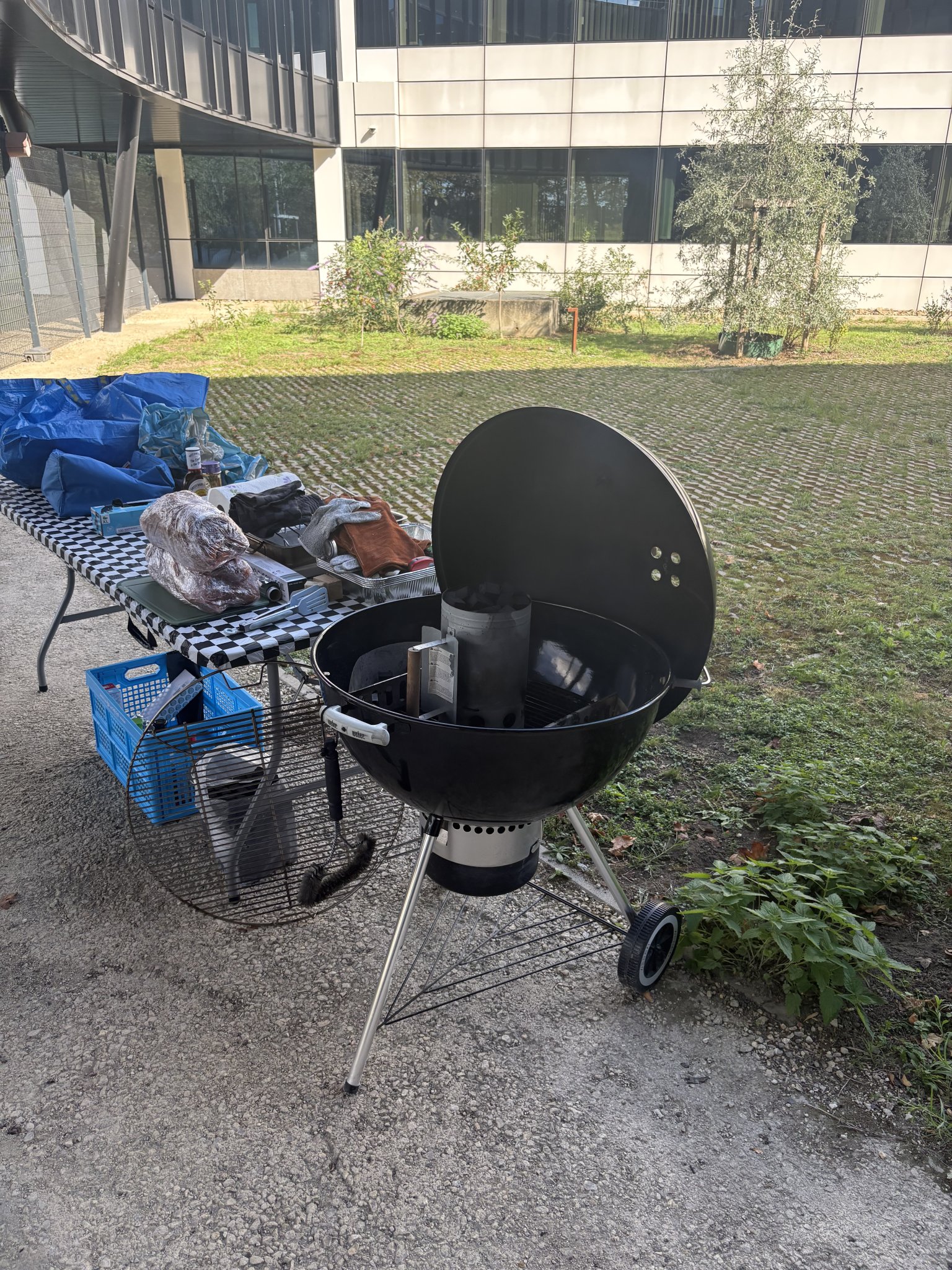 IMG_8866.jpeg