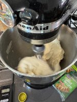 IMG_1772.jpeg