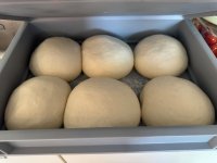 IMG_1791.jpeg