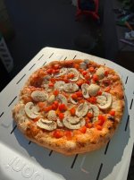 IMG_1801.jpeg