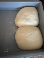 IMG_1802.jpeg