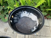 IMG_3976.jpeg