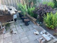 IMG_4017.jpeg