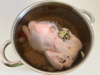 IMG_4031.jpeg