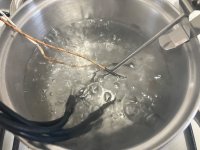IMG_4024.jpeg