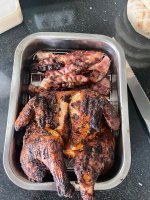 IMG_2393.jpeg