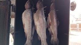 IMG_20250526_140738798.jpg