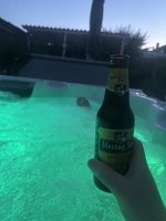 IMG_7044.jpeg