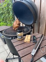 IMG_5330.jpeg