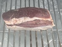 IMG_2679.jpeg
