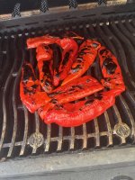 IMG_7081.jpeg