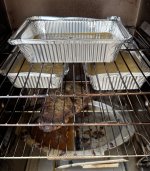 IMG_7110.jpeg