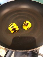 IMG_2244.jpeg
