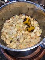 IMG_2246.jpeg