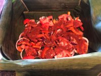 IMG_2265.jpeg