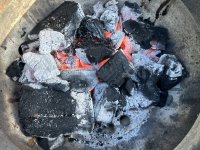 IMG_2934.jpeg