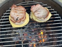 IMG_2942.jpeg