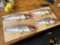 IMG_5963.jpeg