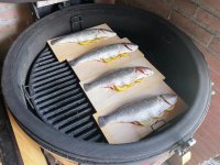 IMG_5967.jpeg