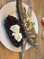 IMG_1255.jpeg