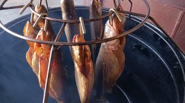 IMG_20250818_161731436.jpg