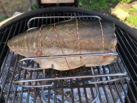 IMG_2331.jpeg