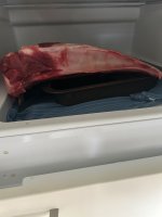 IMG_6113.jpeg
