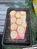 IMG_8808.jpeg