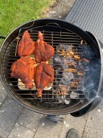 IMG_2321.jpeg