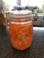 IMG_2785.jpeg