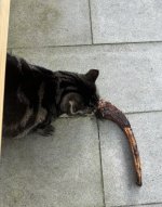 IMG_6113.jpeg