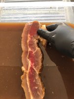 IMG_1369.jpeg