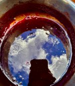 IMG_7407.jpeg