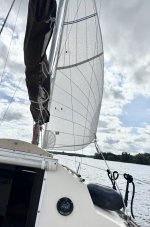 IMG_7361.jpeg