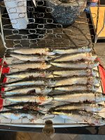 IMG_8644.jpeg