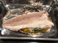 IMG_2332.jpeg