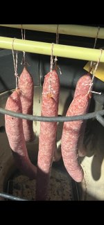 WhatsApp Image 2025-12-11 at 14.42.58.jpeg