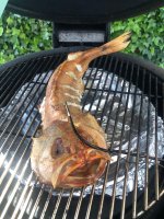 IMG_4699.jpeg