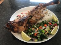 IMG_4702.jpeg