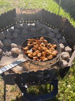 IMG_0158.jpeg