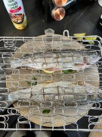 IMG_9562.jpeg