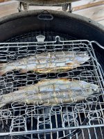 IMG_9564.jpeg