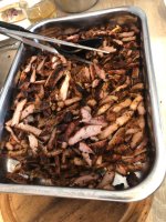 IMG_1562.jpeg