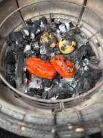 IMG_4848.jpeg