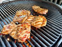 IMG_2884.jpeg