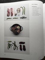 IMG_6076.jpeg